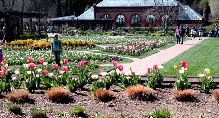 Biltmore gardens in Asheville, North Carolina
