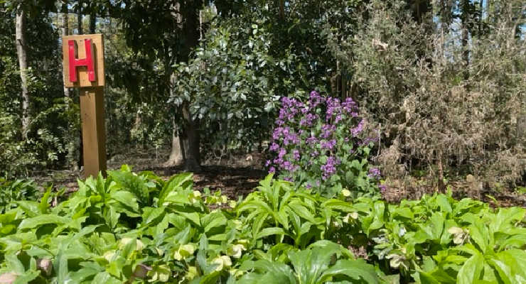 View of Hatcher Garden