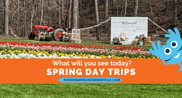 Spring Day Trips Near Greenville, SC