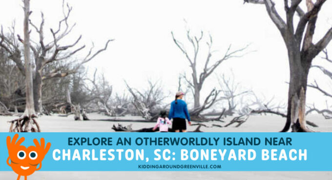 boneyard beach