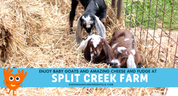 Split Creek Farm