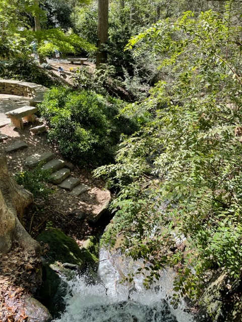 Hatcher Garden steps