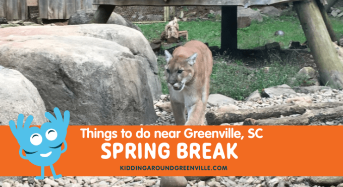 Things to do during Spring Break