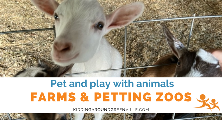 Petting Zoos and Farms Near Greenville
