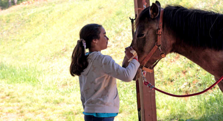 Petting a horse at Eden Farms