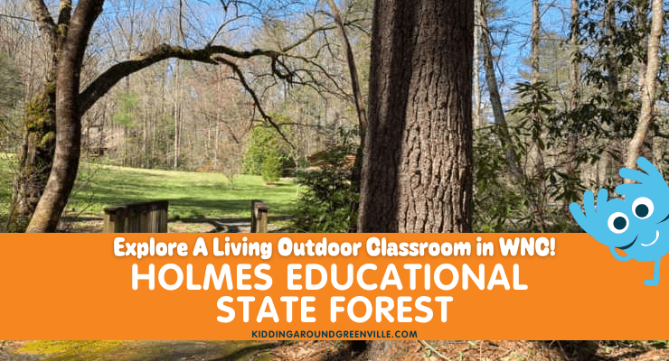 holmes educational state forest