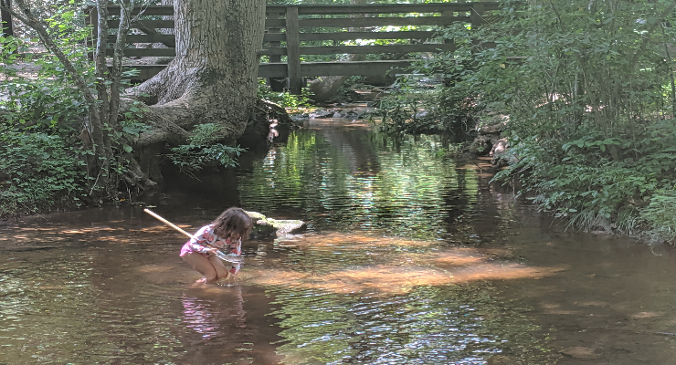 playing in the creek 