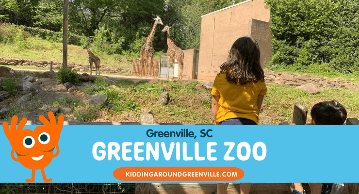Viewing Giraffes and other Wildlife at the Greenville Zoo in Greenville, SC