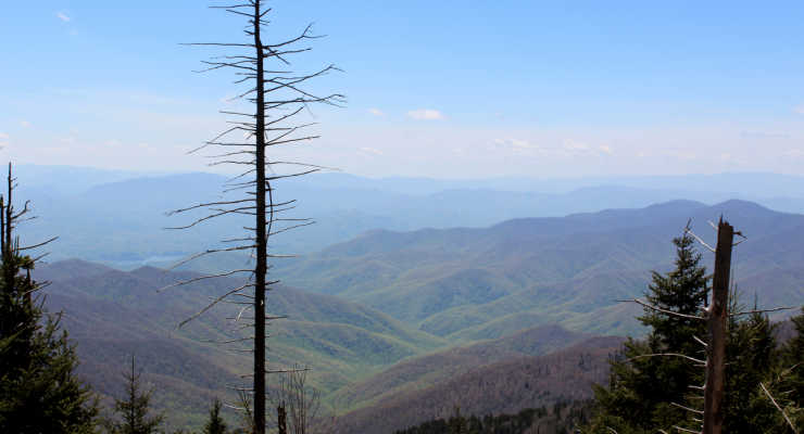 Clingmans Dome, Tennessee 