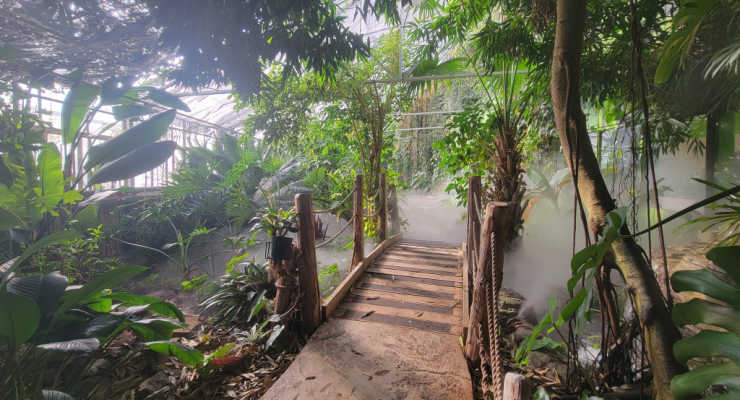 RMSC Rainforest