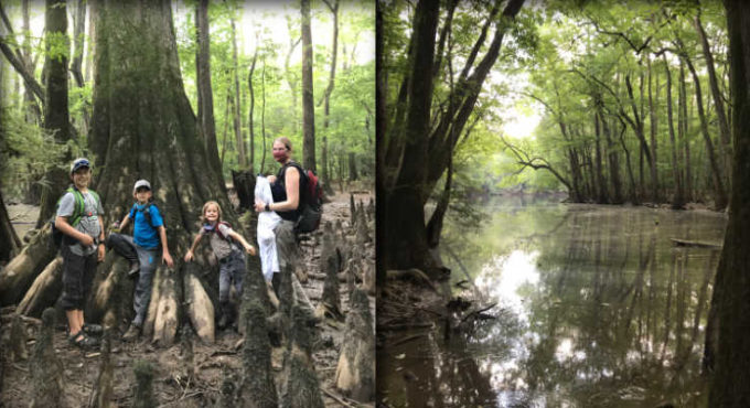 Congaree scenes