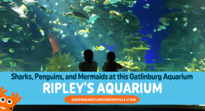 A guide to Ripley's Aquarium in Gatlinburg, Tennessee