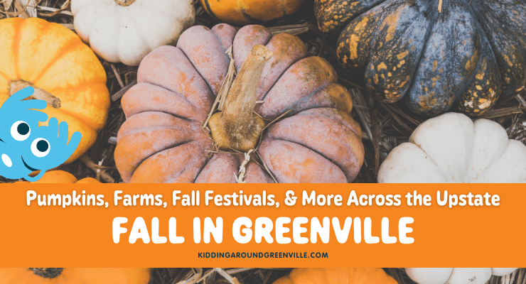 Guide to Fall in Greenville, SC