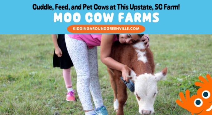 Moo Cow Farms near Greenville, South Carolina