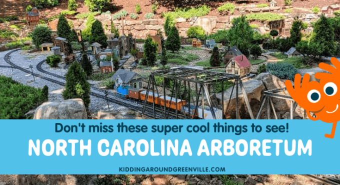 NC Arboretum: Things to do