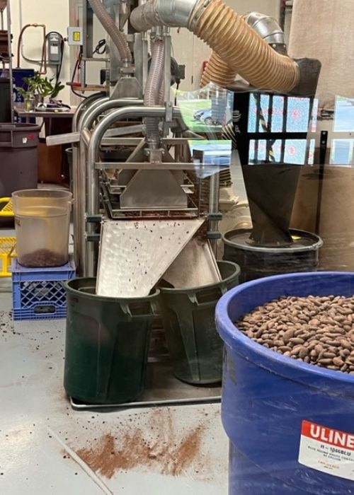 Cacao Beans being separated