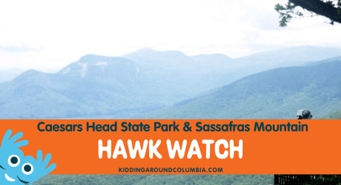 Hawk Watch in South Carolina at Caesars Head State Park and Sassafras Mountain