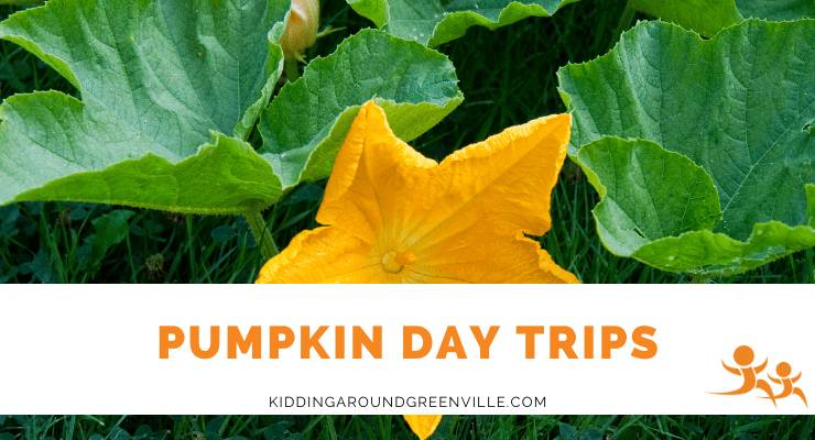 Pumpkin Day Trips