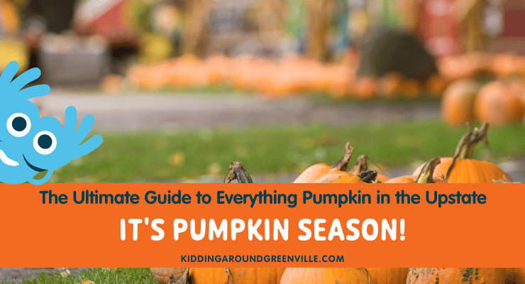 Pumpkin Guide to Greenville, SC, pumpkins in Greenville