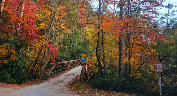 Kick Off Autumn With These Fall Date Ideas Near Upstate, SC