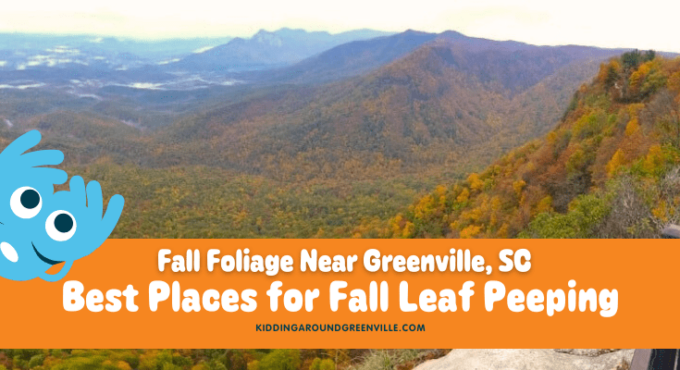 Fall foliage near Greenville, South Carolina