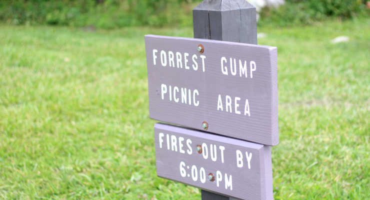 Forest Gump Picnic Area at Grandfather Mountain