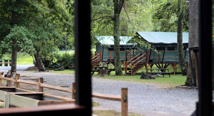Gold River Camp and Cabin glamping camp sites 