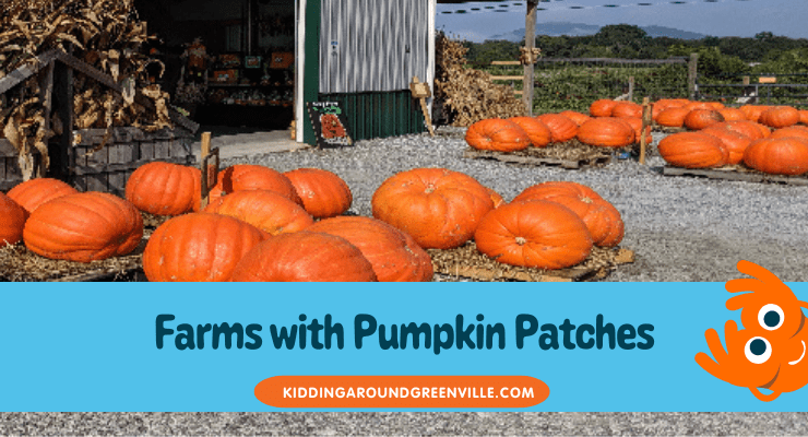Farms with pumpkin patches