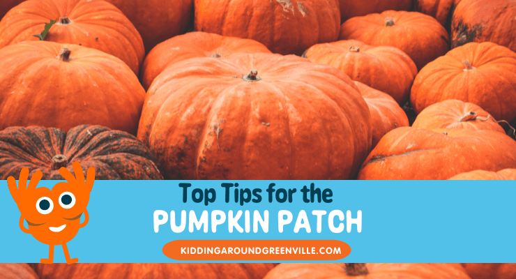 Tips for visiting the pumpkin patch