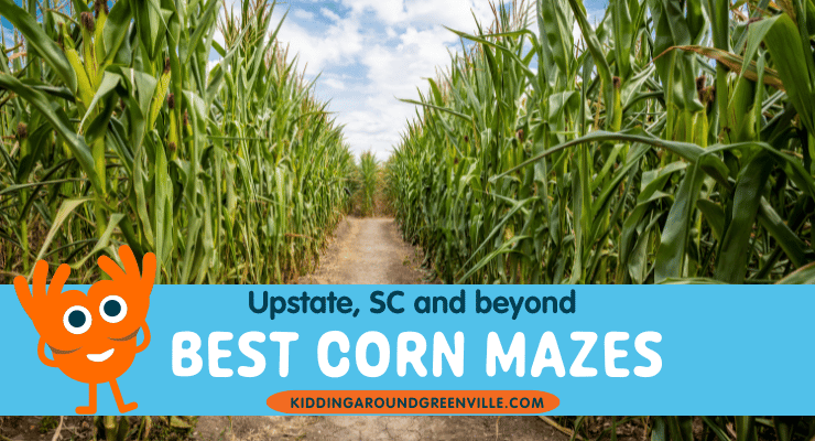Best corn mazes in Greenville, SC