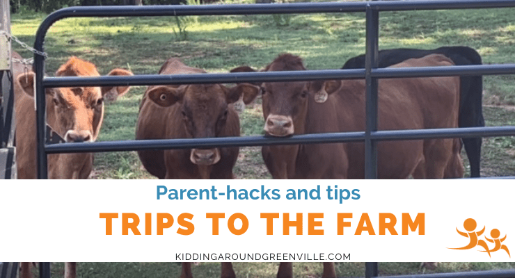 Tips for family trips to the farm