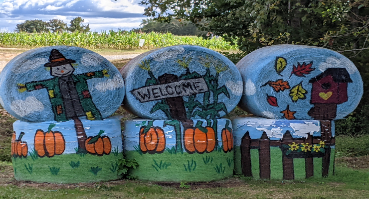 Painted Hay rolls at Stewart Farms