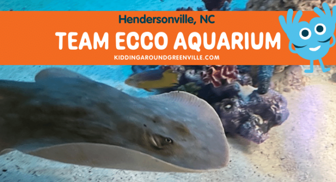 Team Ecco Charlotte the sting ray, Hendersonville, NC