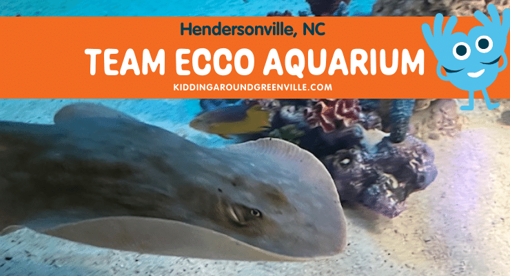 Team Ecco Charlotte the sting ray, Hendersonville, NC