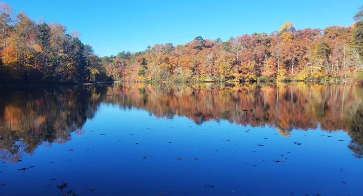 Fall leaves with lake reflection at Paris Mountain State Park