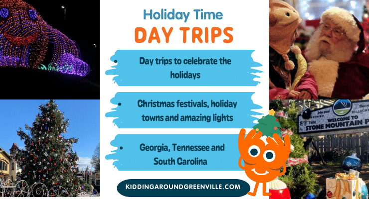 Holiday and Christmas day trips