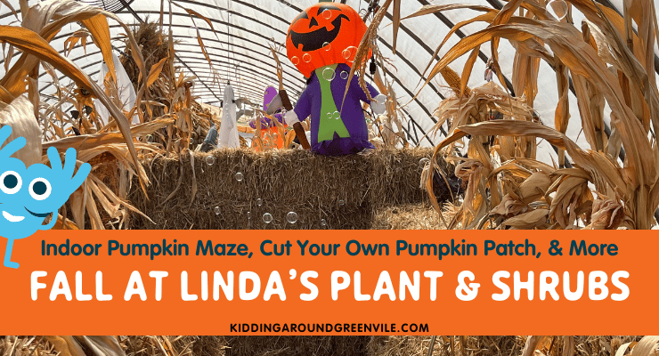 Linda's Plants & Shrubs