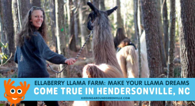 ellaberry llama farm