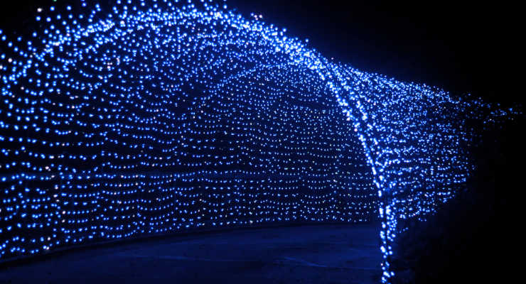 Light tunnel at Holidays at the Zoo