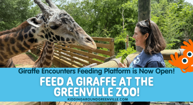 Giraffe Encounters at the Greenville Zoo where you can feed a giraffe