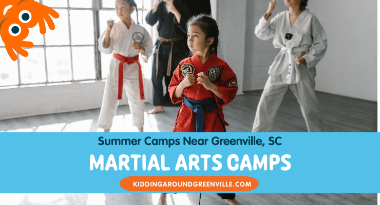 martial arts camps