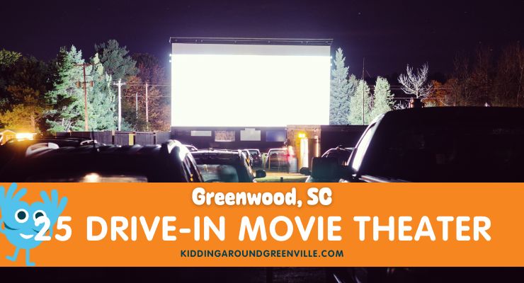 25 drive in movie theater