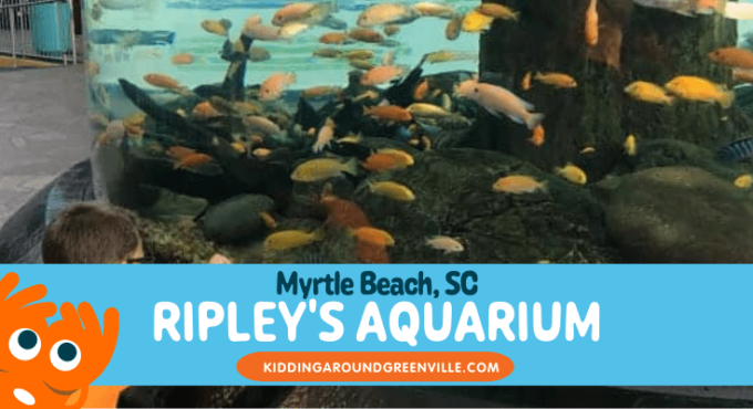 Ripleys Aquarium Myrtle-Beach