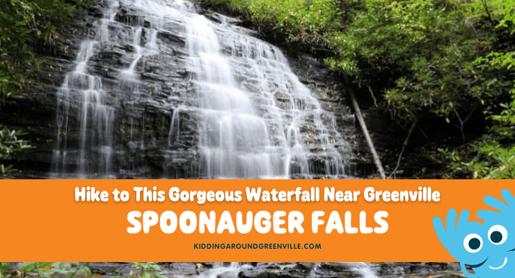 Spoonauger Falls in SC