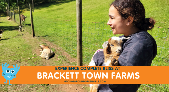 Brackett Town Farms