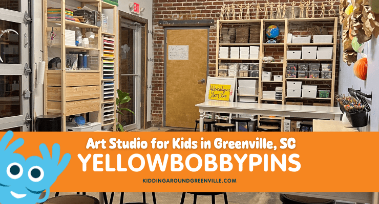 yellowbobbypins Greenville, SC 