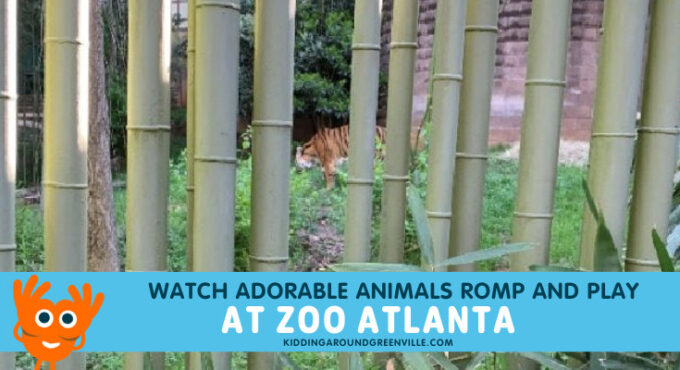 zoo atlanta