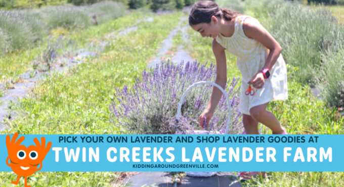 Twin Creeks lavender