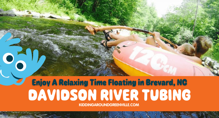Davidson River: Tubing in Brevard, North Carolina