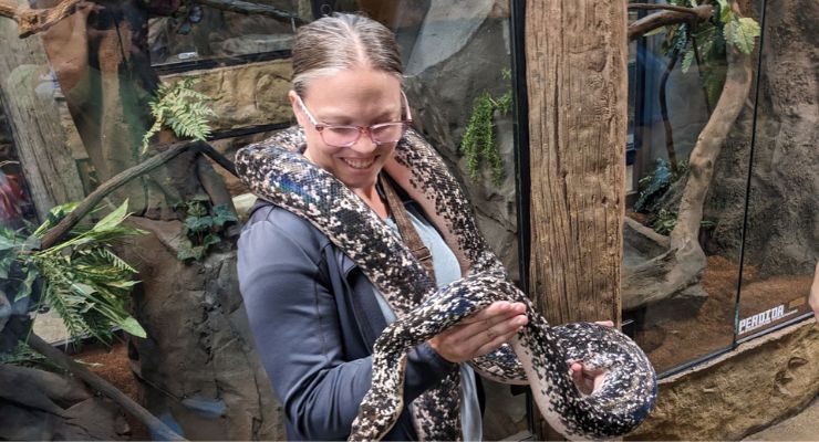 Holding a python at the Reptarium